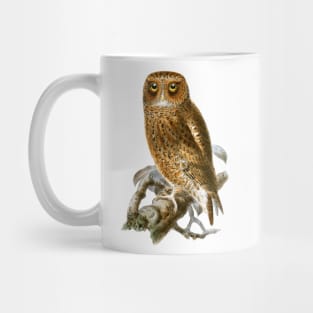 Vintage Owl Illustration Mug